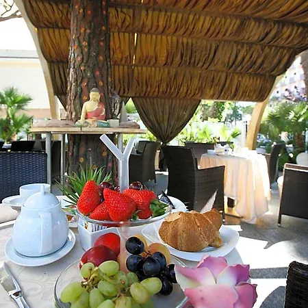 Alexander Hotel Cervia